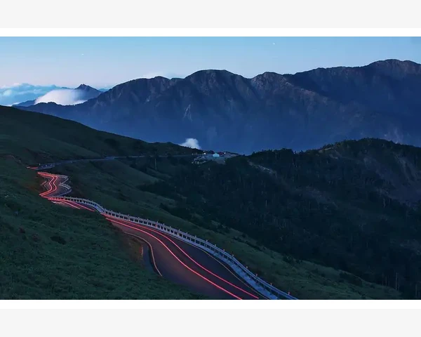 一壶驱寒暖心老白茶