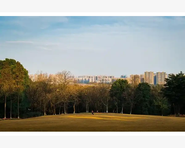 红烧鲫鱼：脾胃虚弱的人能享用吗？